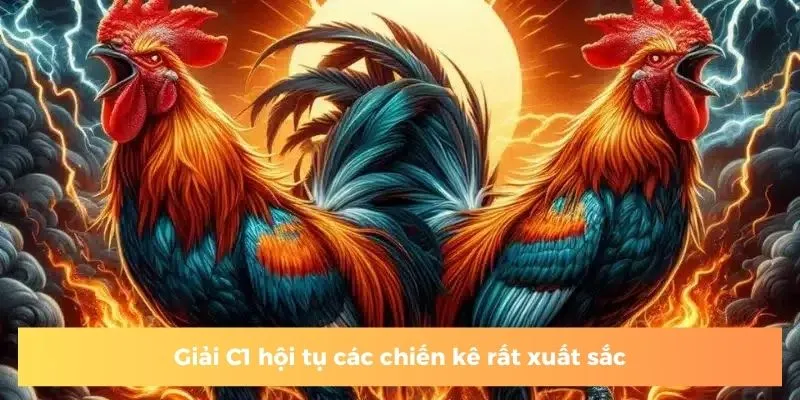 Giải C1 hội tụ các chiến kê rất xuất sắc