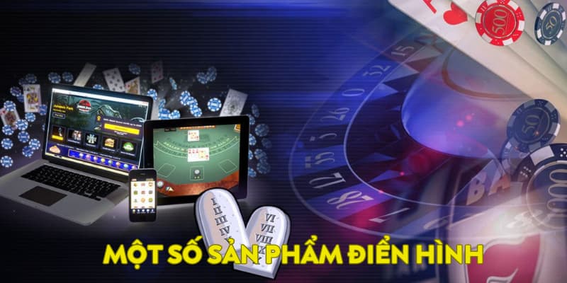 Một số sản phẩm điển hình