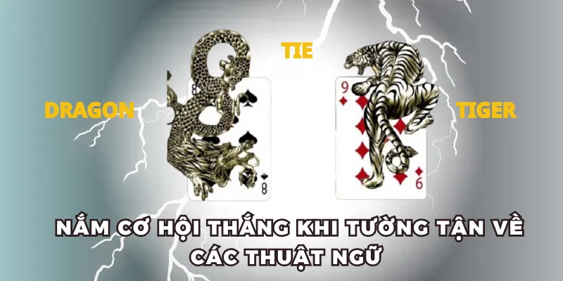 Nắm cơ hội thắng khi tường tận về các thuật ngữ