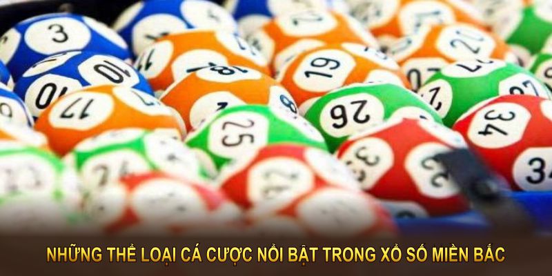 Những thể loại cá cược nổi bật trong xổ số miền bắc