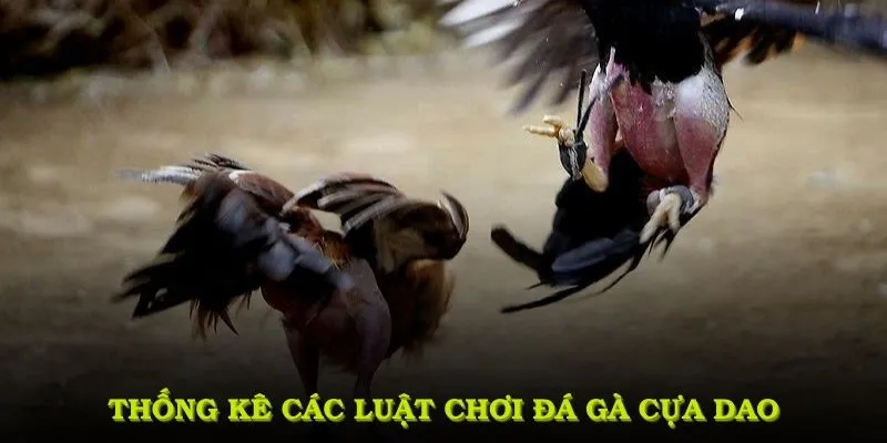 Thống kê các luật chơi đá gà cựa dao có tại sảnh