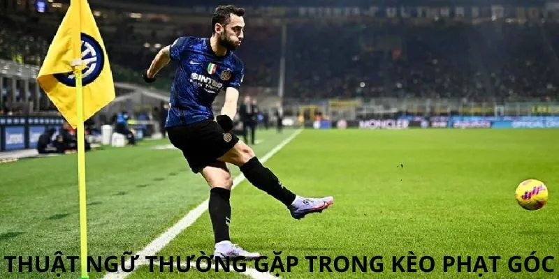 Tổng hợp các thuật ngữ nên nhớ khi cược kèo phạt góc