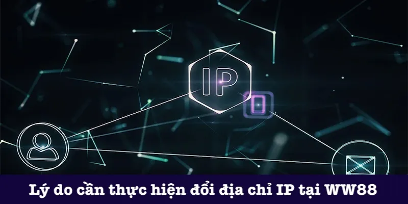 Vì sao nên đổi địa chỉ IP?